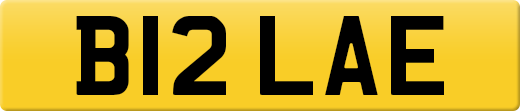 B12LAE